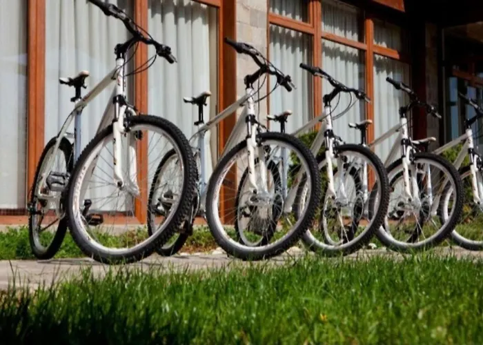 Crystal 公寓 班斯科